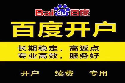 百度推广实战：案例分享与效果评估