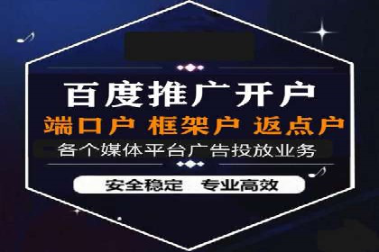 某电商平台的SEM推广实战经验